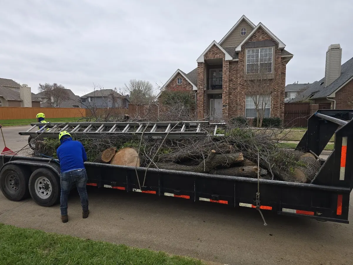 Expert Tree Removal with proper safety equipment in Pond Creek